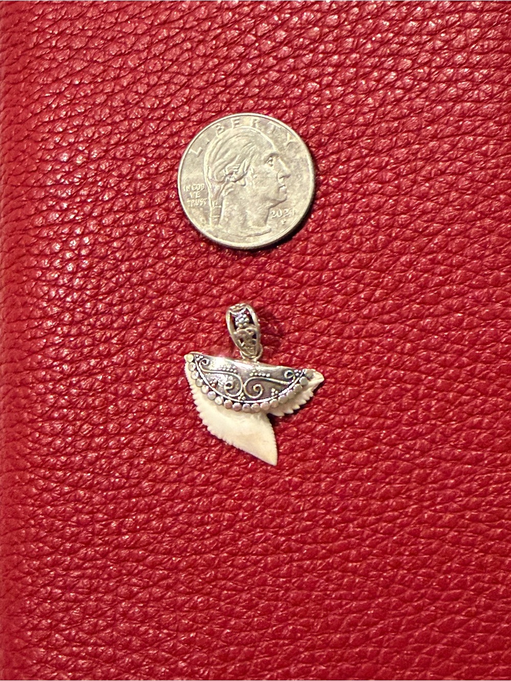 Sterling Silver Real Shark Tooth Pendant with Decorative Bail